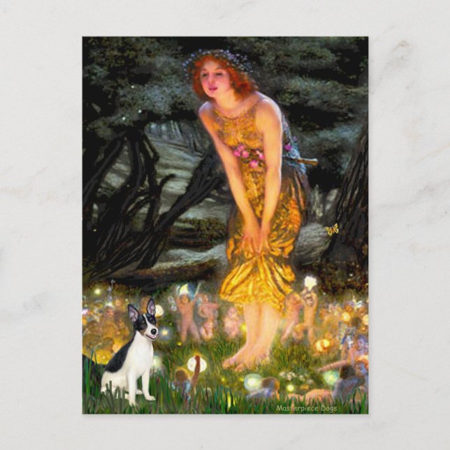 Cartão Postal Rat Terrier - MeidEve (Frente)