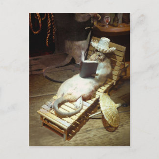 Cartão Postal Rato de água aproveitando a vida do navio