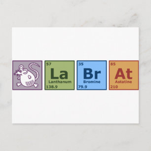 Cartão Postal Rato de laboratório