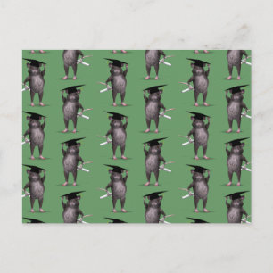 Cartão Postal Rato Mais Inteligente Da Cidade