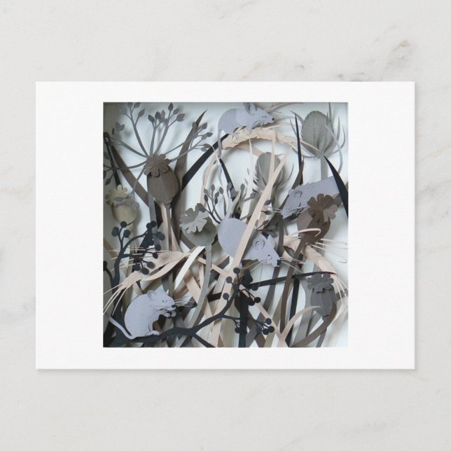 Cartão Postal ratos de campo (Frente)