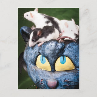 Cartão Postal Ratos no cartão-postal cerebral