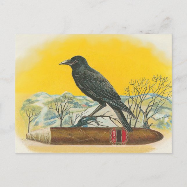 Cartão Postal Raven (Frente)
