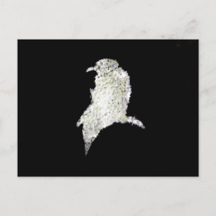 Cartão Postal Raven