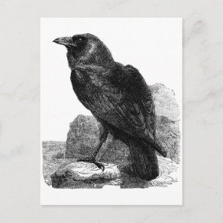 Cartão postal Raven