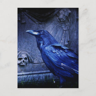 Cartão Postal Raven Em Tombstone