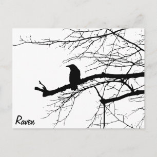 Cartão Postal Raven na árvore