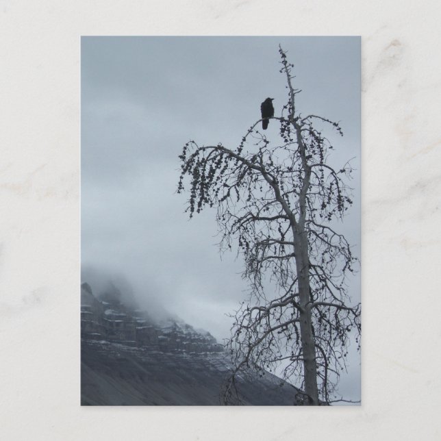 Cartão Postal Raven Solitário (Frente)