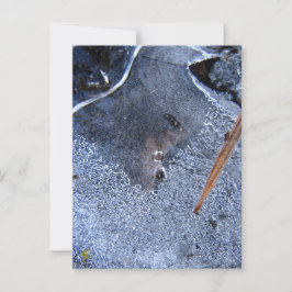 Cartão Postal Raven Totem, Pássaro Negro