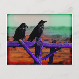 Cartão Postal Ravens