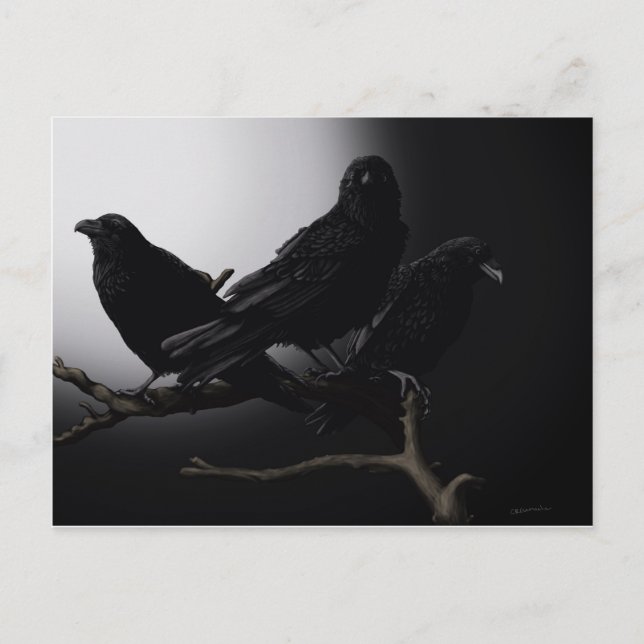 Cartão Postal Ravens assustadores no cartão-postal à luz da Lua (Frente)