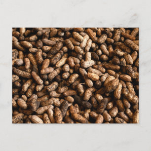 Cartão Postal Raw Raw Peanuts in Shell Organic Texture
