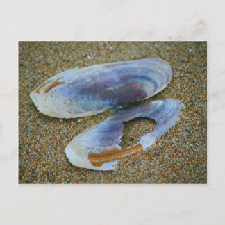 Cartão Postal Razor Clam Shell, Oregon