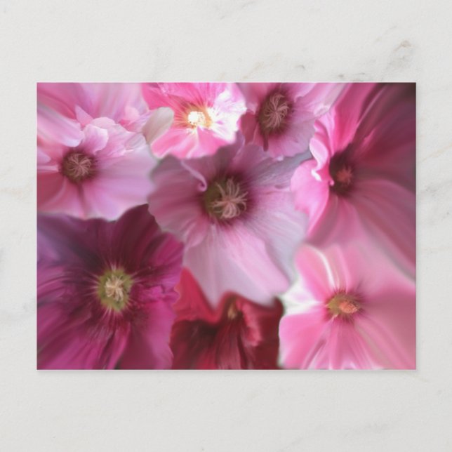 Cartão Postal Real (Frente)