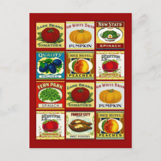 Cartão Postal Receber Design de Cartão-Postal Para Compartilhar