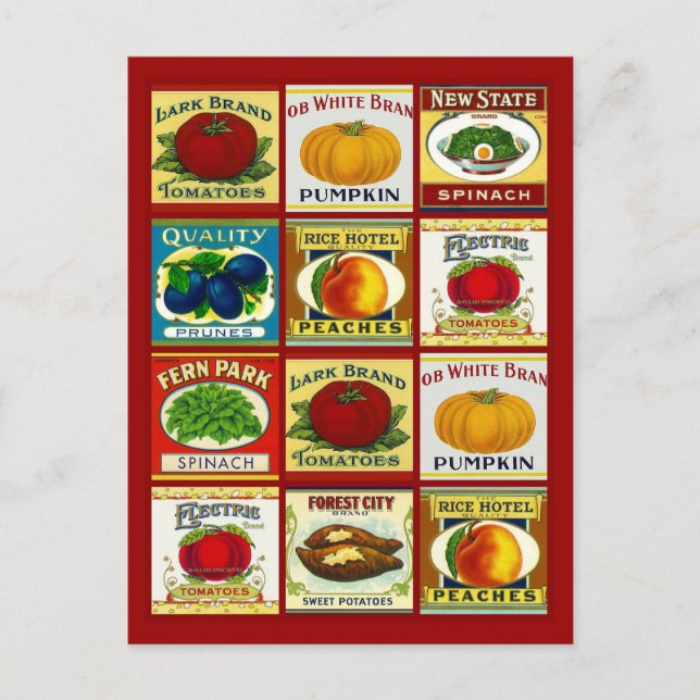 Cartão Postal Receber Design de Cartão-Postal Para Compartilhar  (Frente)