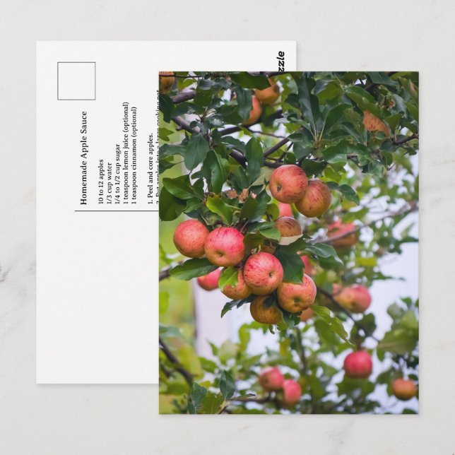 Cartão Postal Receita de Molho de Maçã (Frente/Verso)