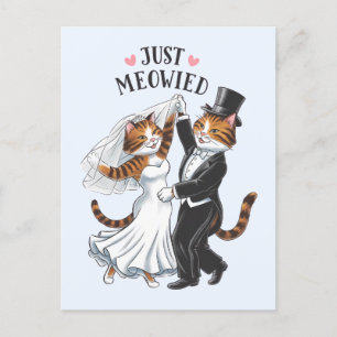 Cartão Postal Recém Casados Casal Gato Divertido Casamento