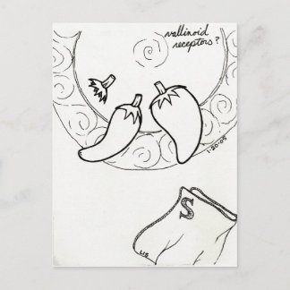 Cartão Postal Receptores Vallinoides postais