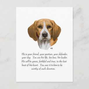 Cartão Postal Recuerdo de Beagle MACHO
