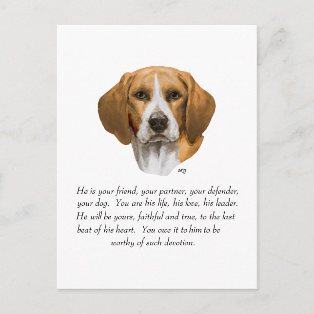 Cartão Postal Recuerdo de Beagle MACHO (Frente)