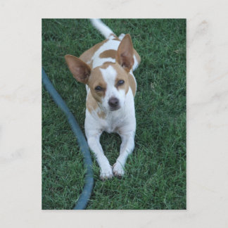 Cartão Postal Recuperado