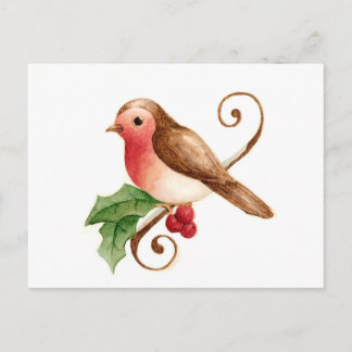 Cartão Postal Red Breast Robin com Holly