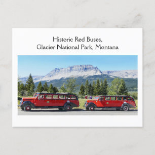 Cartão Postal Red Buses, Glacier National Park, Montana