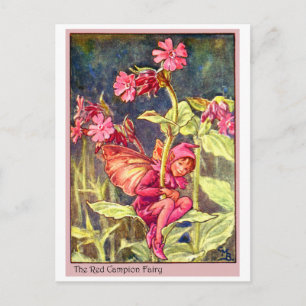 Cartão Postal Red Campion Fairy