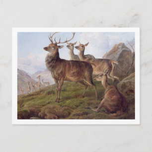 Cartão Postal Red Deer in a Highland Landscape, 1872 (petróleo e