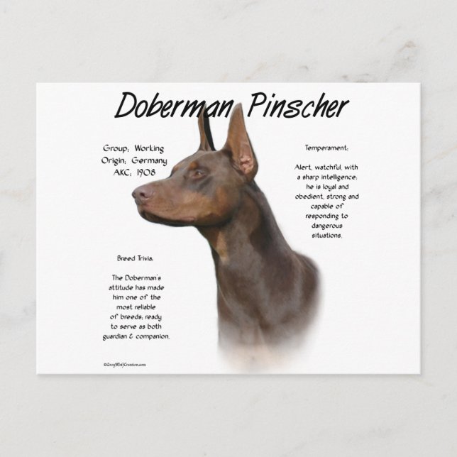 Cartão Postal Red Doberman Histórico (Frente)
