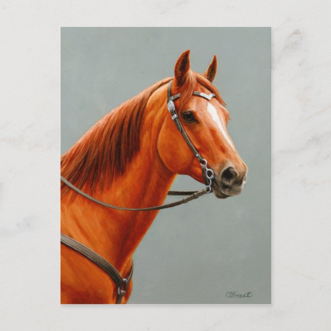 Cartão Postal Red Dun Chestnut Sorrel Western Quarter Horse (Frente)