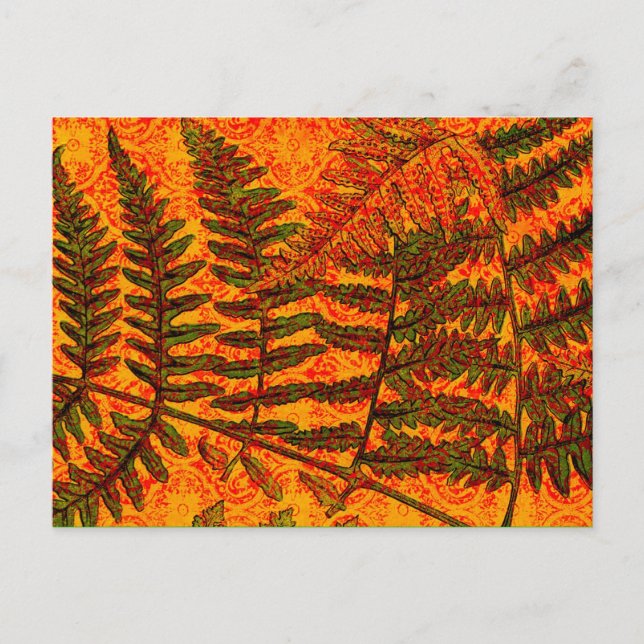 Cartão postal Red Fern (Frente)