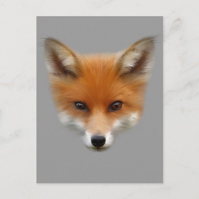 Cartão postal Red Fox Cub (Frente)