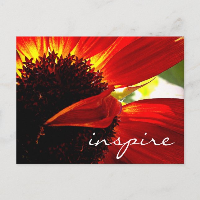 Cartão Postal Red Gerbera Daisy Flower Inspire Script Moderno (Frente)