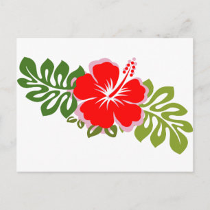 Cartão Postal Red Hibiscus e Folhas