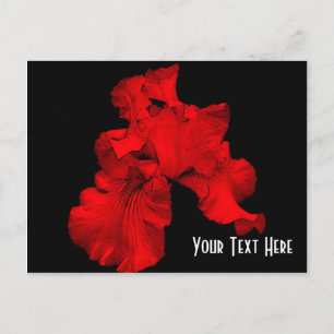 Cartão Postal Red Hot Iris Floral Personalizável