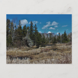 Cartão Postal Red Island Pond