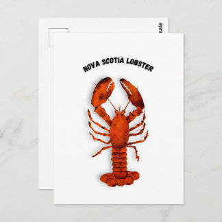 Cartão Postal Red Lobster Postcard