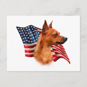 Cartão Postal Red Miniature Pinscher American Flag; Min Pin Flag
