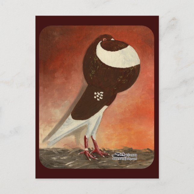 Cartão Postal Red Norwich Cropper Pigeon (Frente)