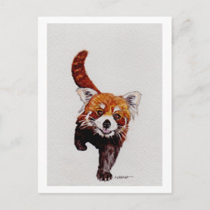Cartão Postal Red Panda