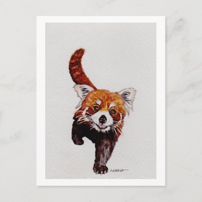 Cartão Postal Red Panda (Frente)