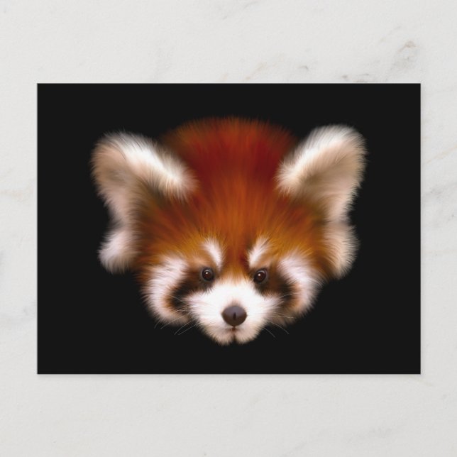 Cartão Postal Red Panda Design (Frente)