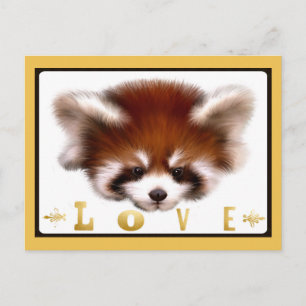 Cartão Postal Red Panda Love