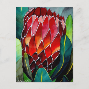 Cartão Postal Red Protea flor flor original de aquarela