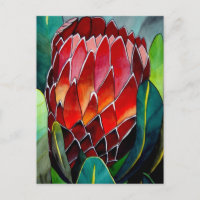 Red Protea flor flor original de aquarela