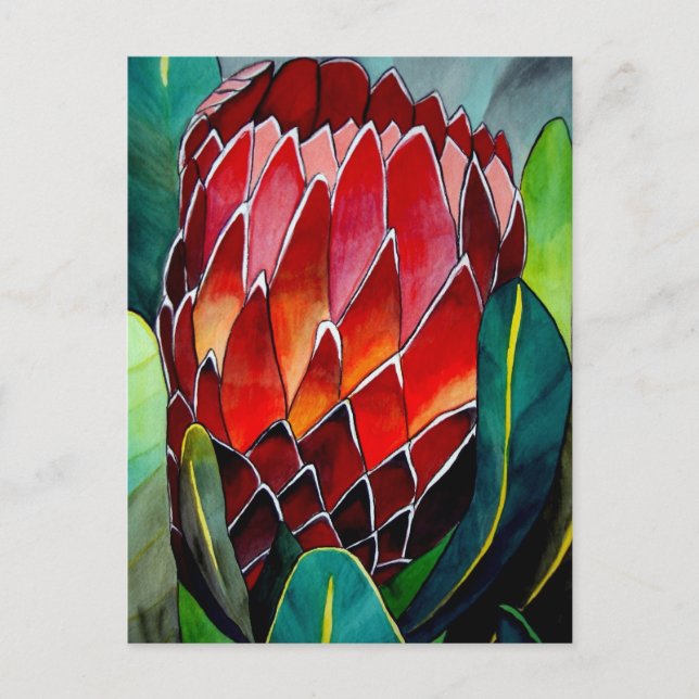 Cartão Postal Red Protea flor flor original de aquarela (Frente)