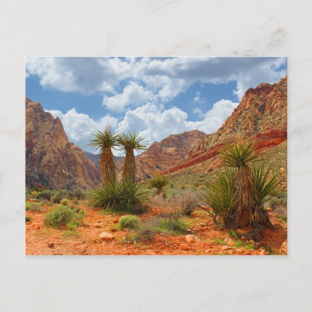 Cartão Postal Red Rock Canyon Primavera Mountain Ranch Poster (Frente)