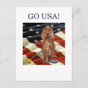 CARTÃO POSTAL RED SETTER CURLING 
